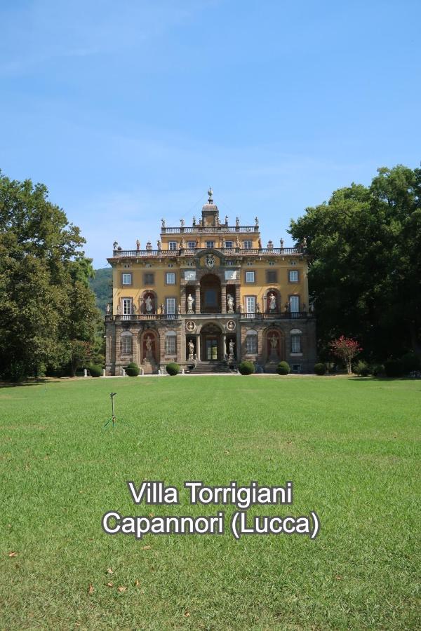 Casa Del Geco - La Natura Intorno A Te Camaiore Exterior foto
